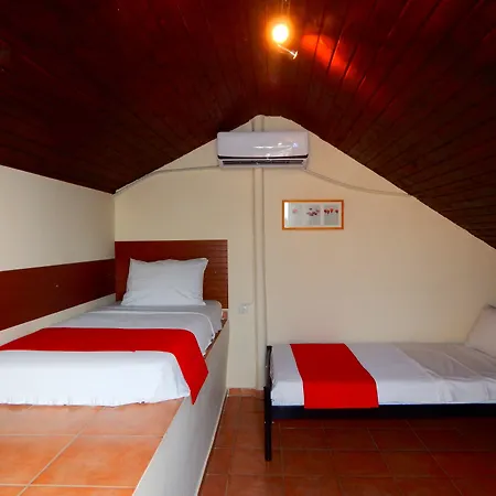 Dom wakacyjny Kripis House